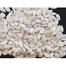 Chinese New Crop Pumpkin Seeds